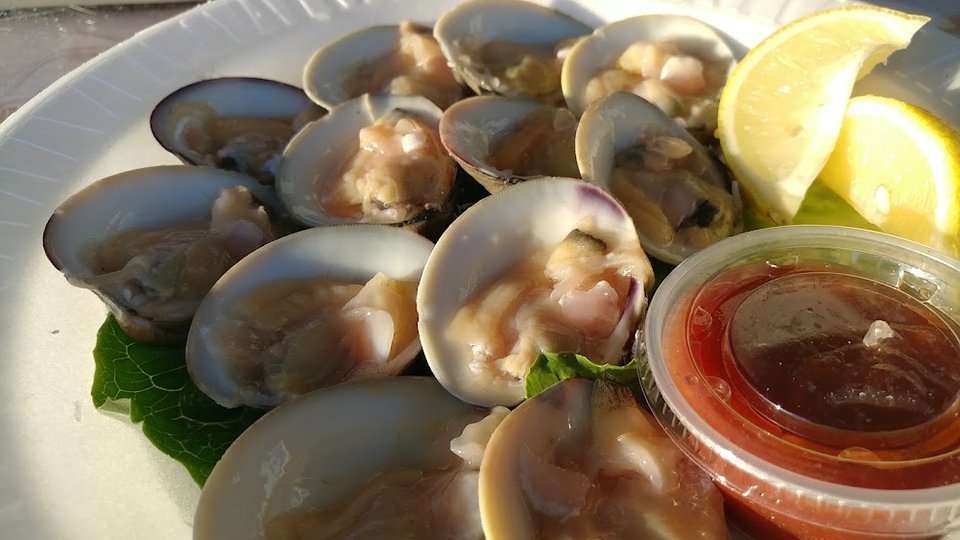 Clam Half Shell