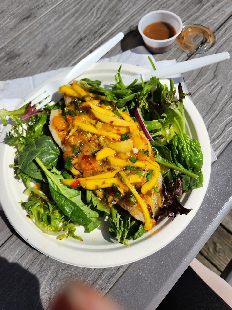 Grouper with Mango Salsa